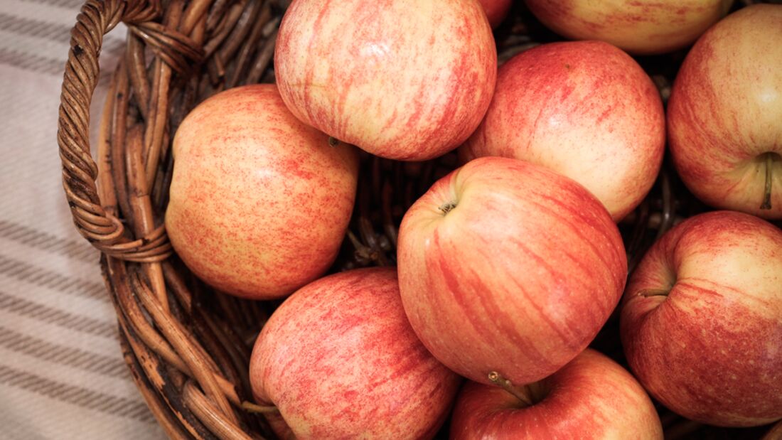 CAV Saftfutter Äpfel