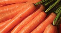 CAV Saftfutter Karotten Möhren