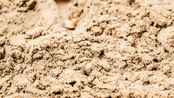Der richtige Sand für den Reitplatz cavallo.de