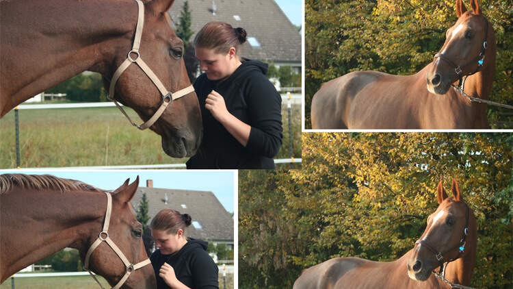 CAV Schulpferde Leserfotos Jacqueline Krzeszewski