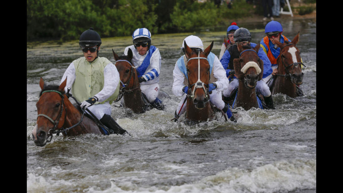 CAV Seejagdrennen Seerennen Galopp Galopp-Sport
