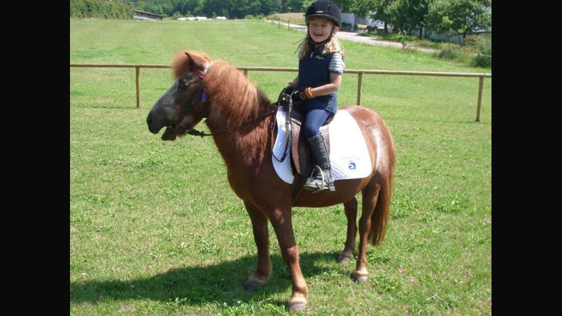 CAV Senioren Ceno Wallach 37 MS