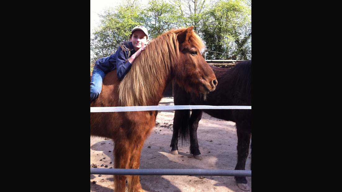 CAV Senioren Gnadenbrotpferde Rentner-Pferde Meisner