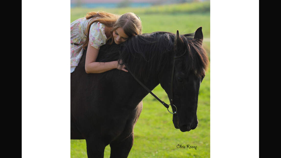 CAV-Senioren-Rentner-Pferdesenioren-alte-Pferde-Amke-Huehnert