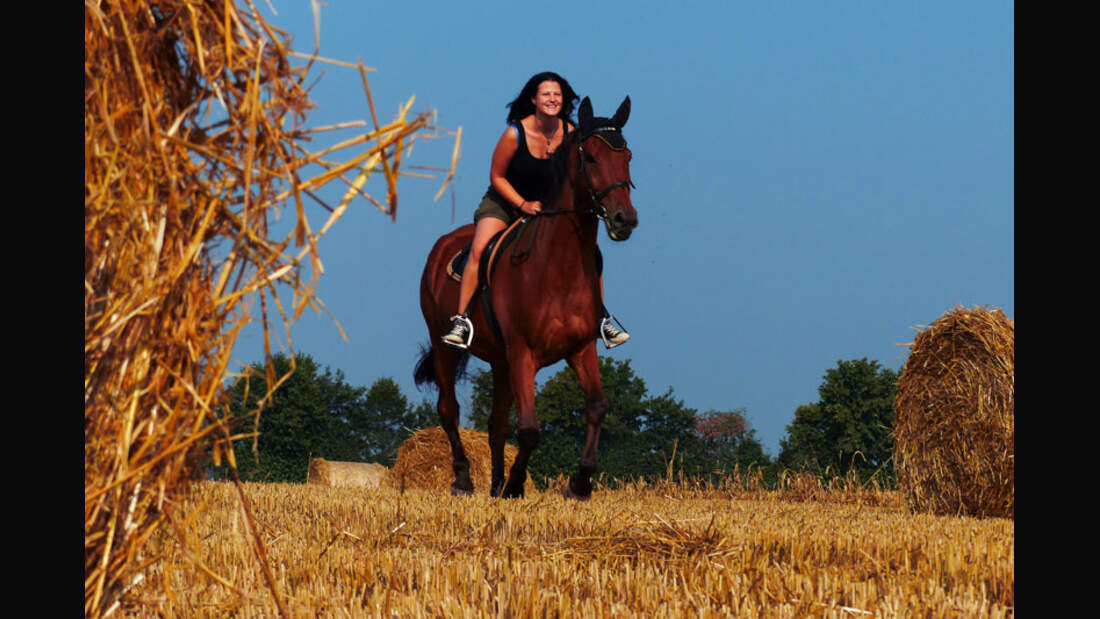 CAV-Senioren-Rentner-Pferdesenioren-alte-Pferde-Melissa-Grünewald
