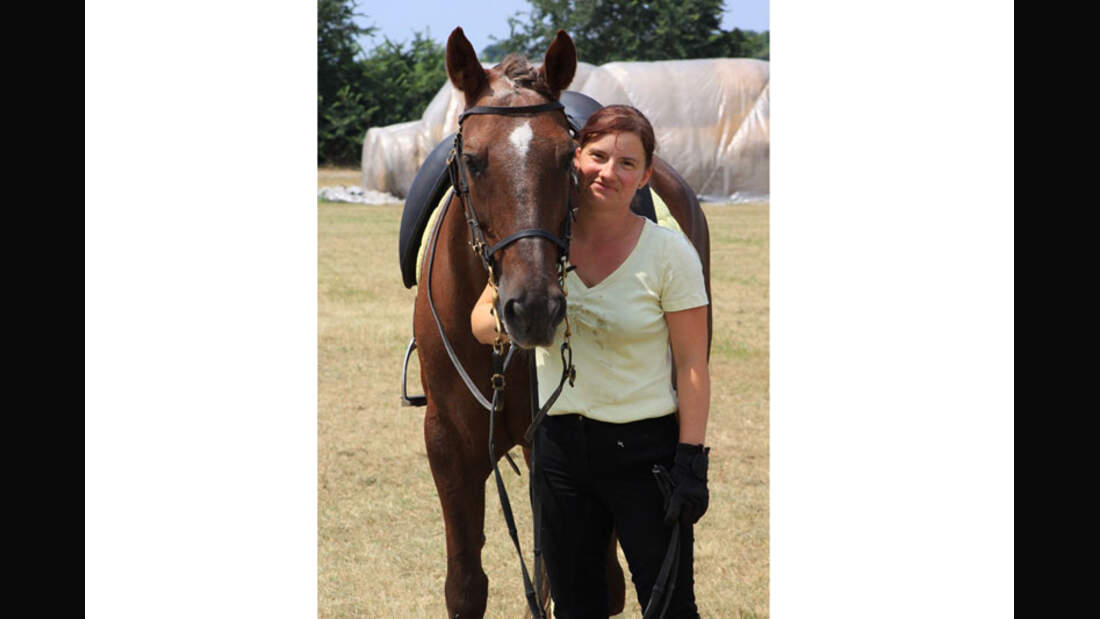 CAV-Senioren-Rentner-Pferdesenioren-alte-Pferde-Michaela-Fleig