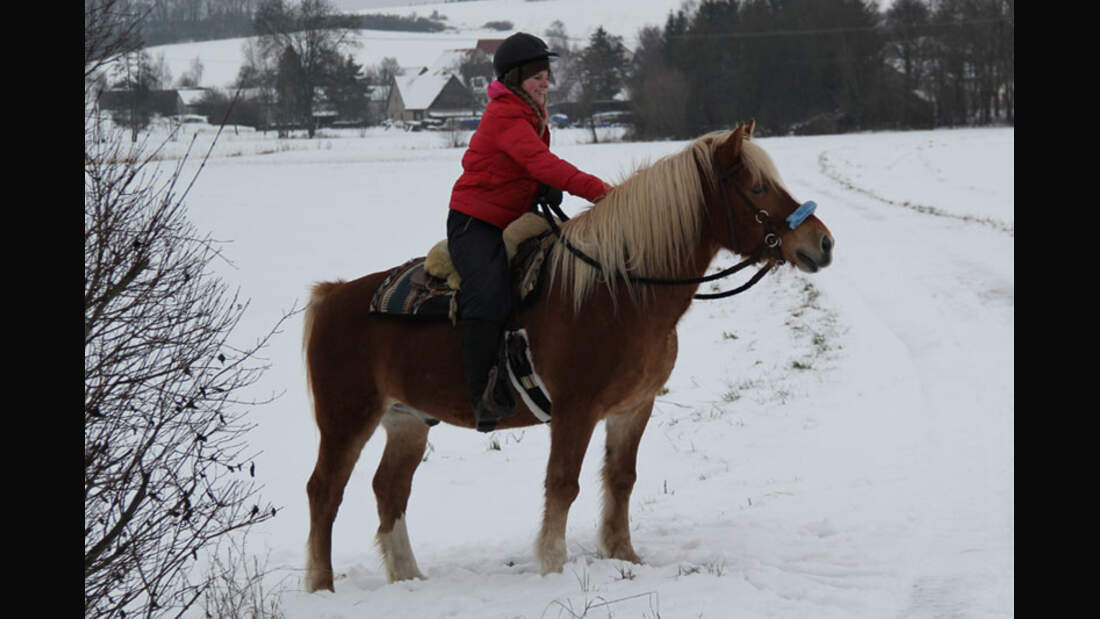 CAV-Senioren-Rentner-Pferdesenioren-alte-Pferde-Rebecca-Wörrlein