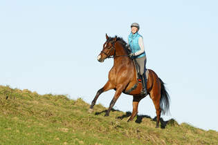 CAV Senkrücken Rücken Training Galopp