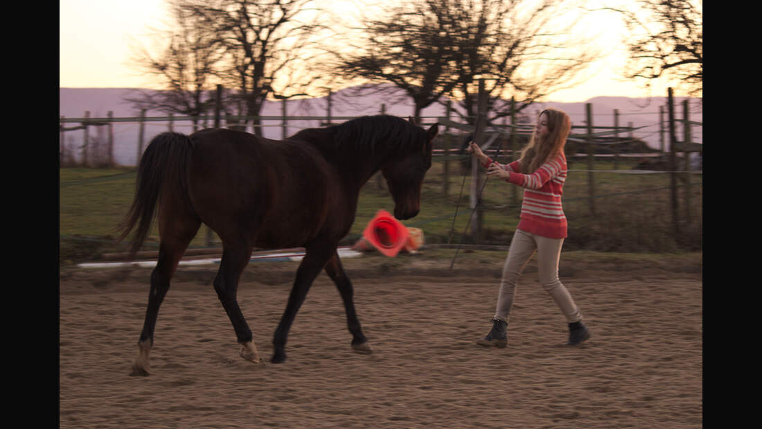 CAV Show Tricks Zirkuslektionen Leserfotos Anna-Lena Weber