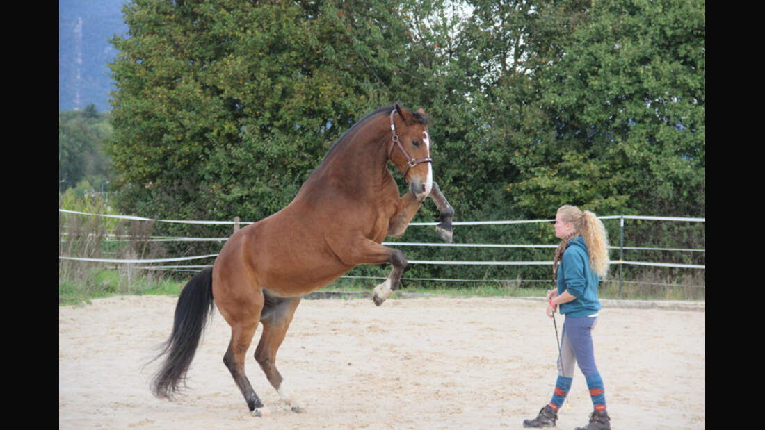 CAV Show Tricks Zirkuslektionen Leserfotos Johanna