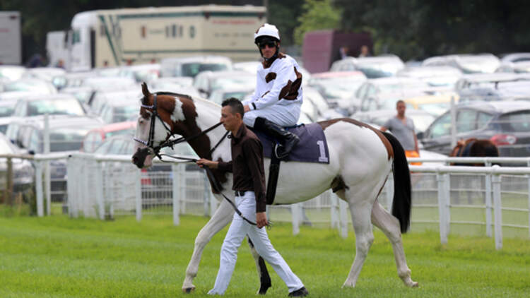 CAV Silvery Moon 1