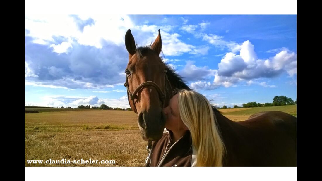 CAV Sommer mit Pferden 2014 - Claudia Scheler