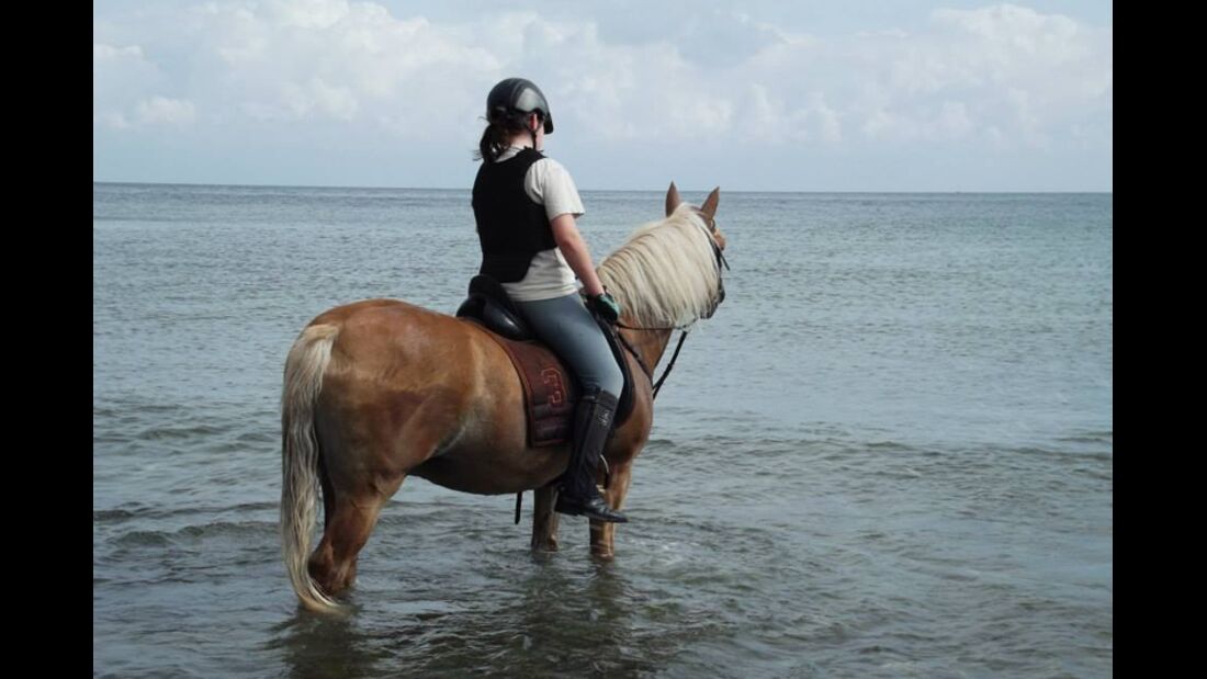 CAV Sommer mit Pferden 2014 - Hannah und Moritz