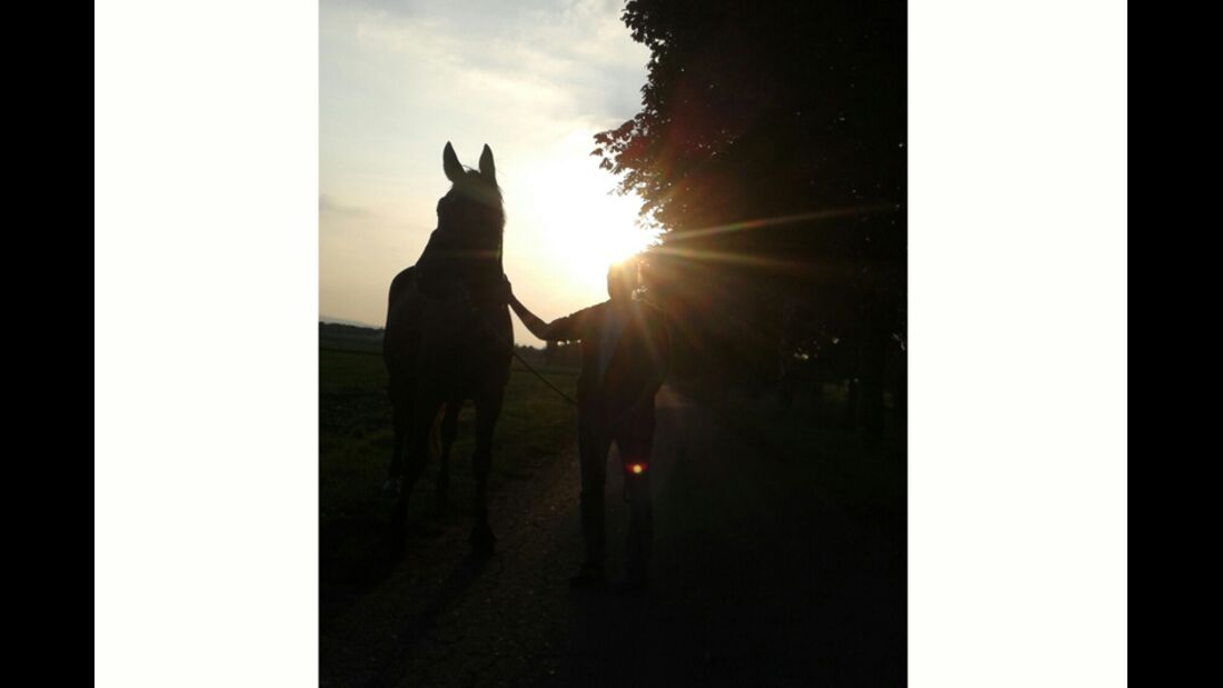 CAV Sommer mit Pferden 2014 - Isabell Kramer
