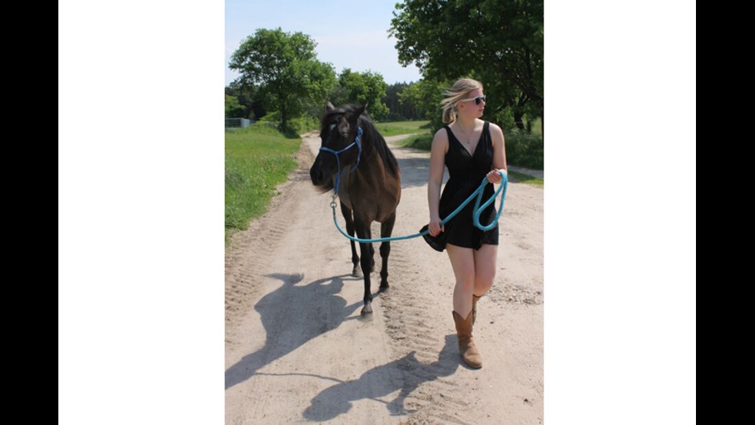 CAV Sommer mit Pferden 2014 - Julika Hempell