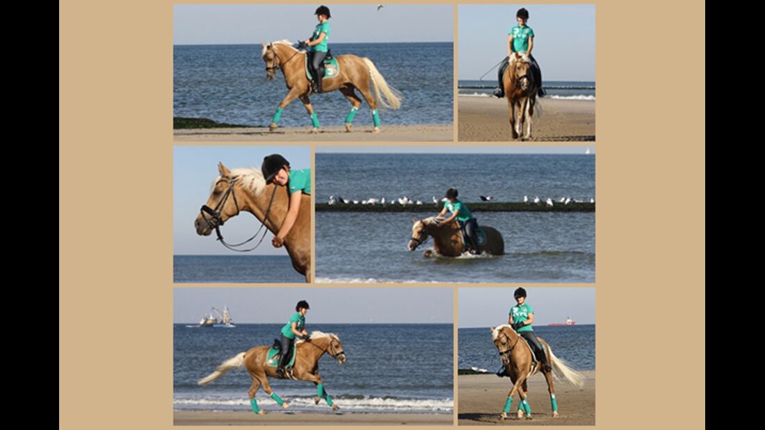CAV Sommer mit Pferden 2014 - Jutta Backes