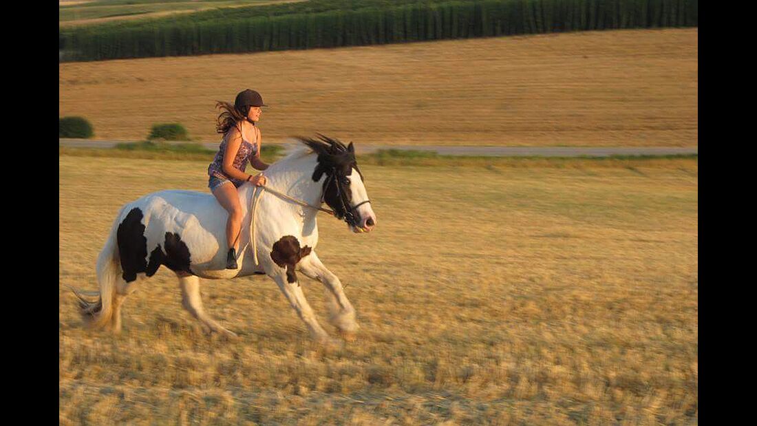 CAV Sommer mit Pferden Anja Link