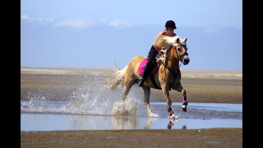 CAV Sommer mit Pferden Anne Cunze