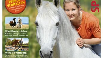 CAV Sonderheft Ratgeber Basic Pferde verstehen Teaser
