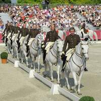 CAV Spanische Hofreitschule Wien Heldenberg 01