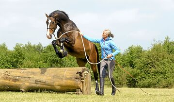 Seil Springen Leicht Gemacht Cavallo De