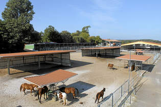 CAV Stall Scout 03_2014 Aktivstall Heinrichshof 2