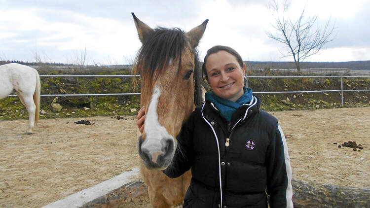 CAV Stall Scout 05_2014 Westernreitzentrum Greene 1