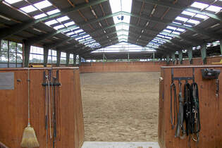 CAV Stall Scout 08_2013 Horse Competence Osterholz 2
