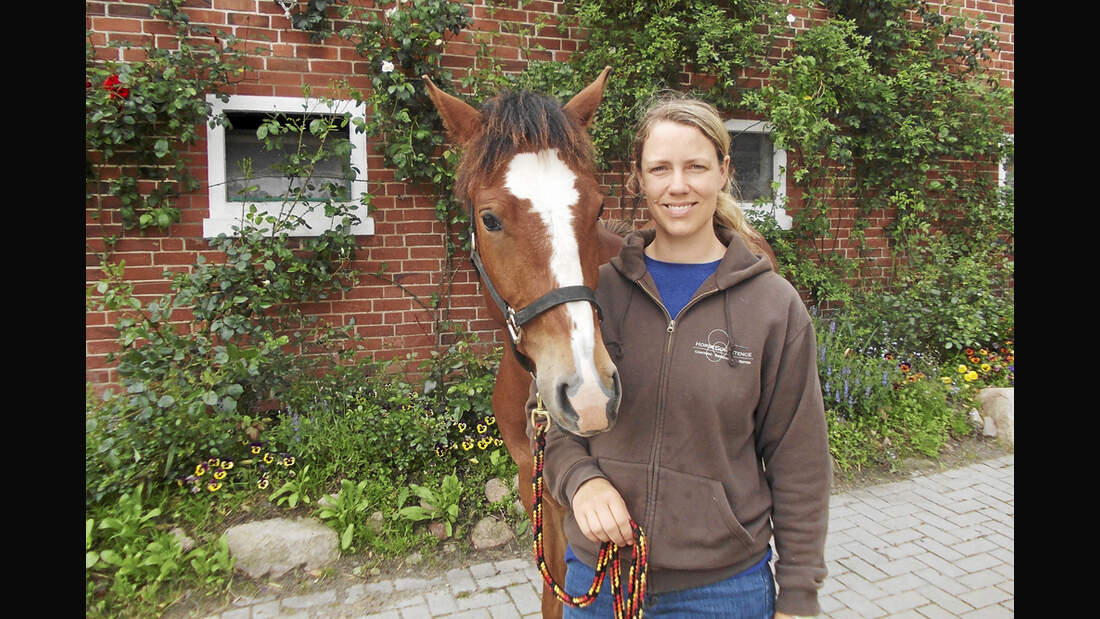 CAV Stall Scout 08_2013 Horse Competence Osterholz Katharina von Lingen