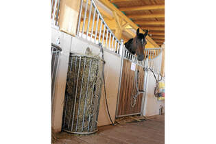 CAV Stall Scout 09_2014 Gut Neideck 2