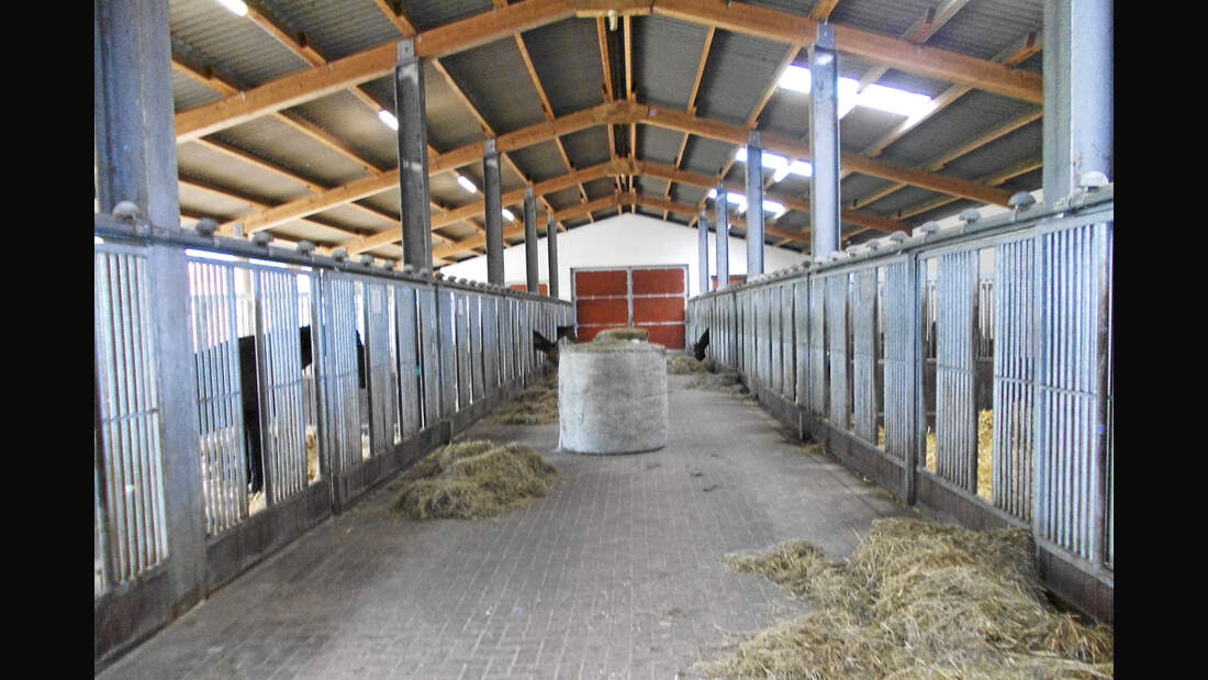 CAV Stall Scout 10_2013 Hof Brüning 2