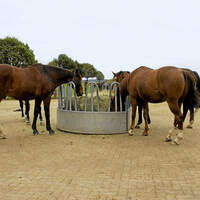 CAV Stall Scout 12_2014 Hof Bongartz 3