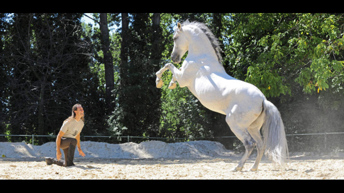 CAV Steigendes Pferd und Mann (nur 680er)