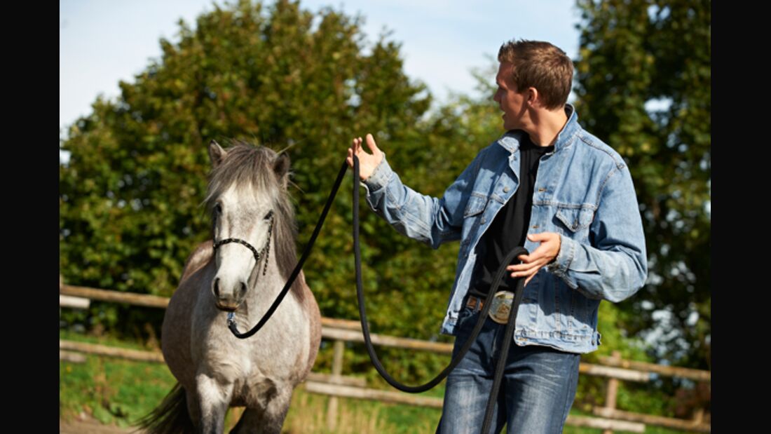 CAV Stimmung Horsemanship Florian Oberparleiter 1