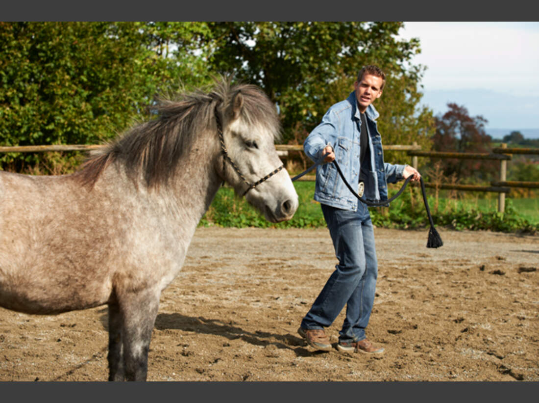 Cavallo bekanntschaften