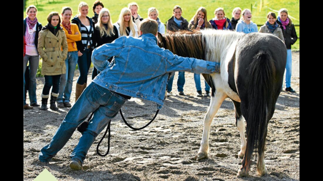 CAV Stimmung Horsemanship Florian Oberparleiter 6
