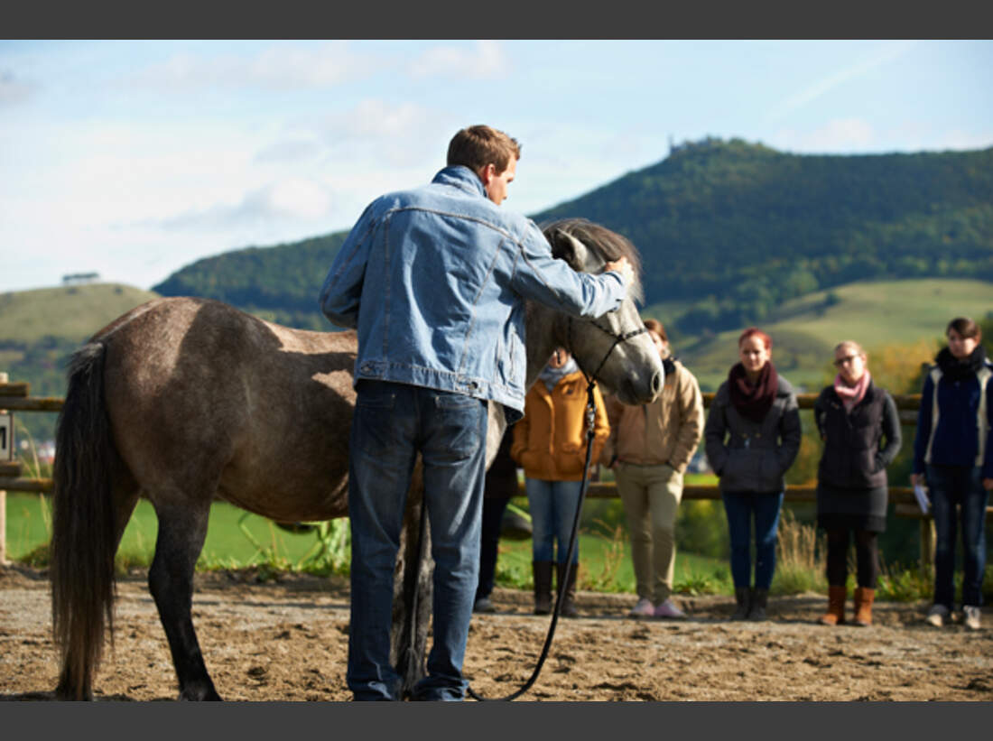 Cavallo bekanntschaften