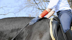 CAV Stimmung Pferd steuern 9