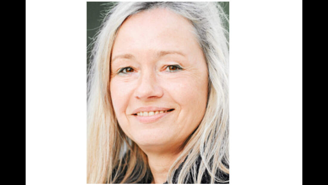 CAV Stressgesichter Willa Bohnet (jpg)