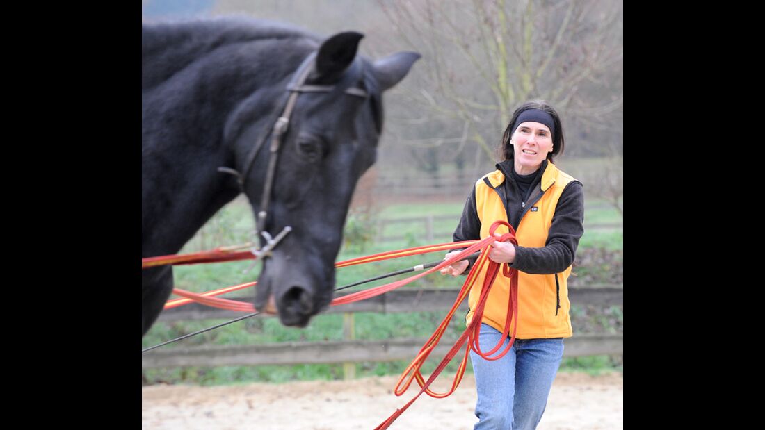 CAV Suzanne Struben Stuntreiterin Azar_05