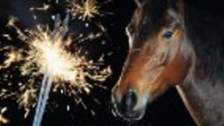 CAV Sylvester Feuerwerk Neujahr 42_Teaser