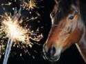 CAV Sylvester Feuerwerk Neujahr 42_Teaser