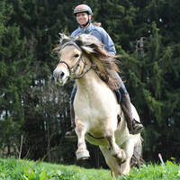 CAV-TREC-Reiten-10 (jpg)