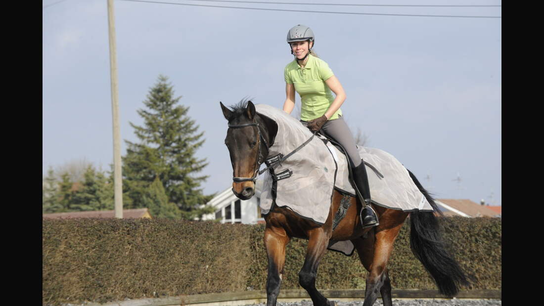 CAV Test Fliegendecken Aufmacher (jpg)