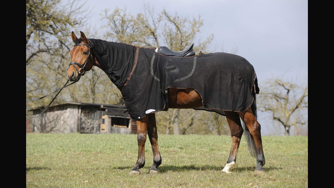 CAV Test Fliegendecken Equiva 1 (jpg)