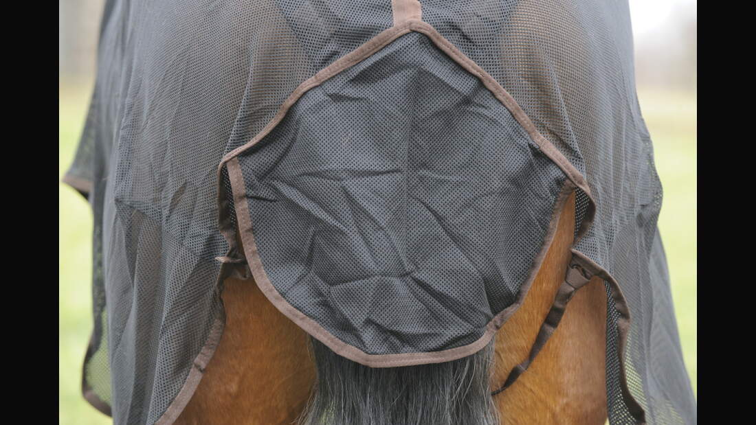 CAV Test Fliegendecken Equiva 2 (jpg)