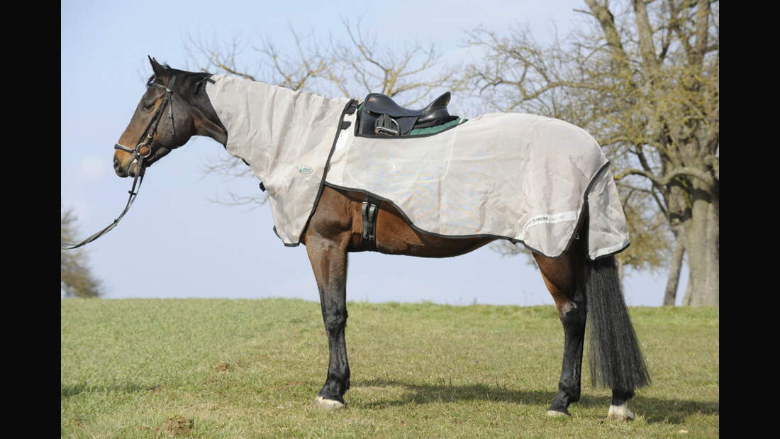 CAV Test Fliegendecken Horseware 1 (jpg)