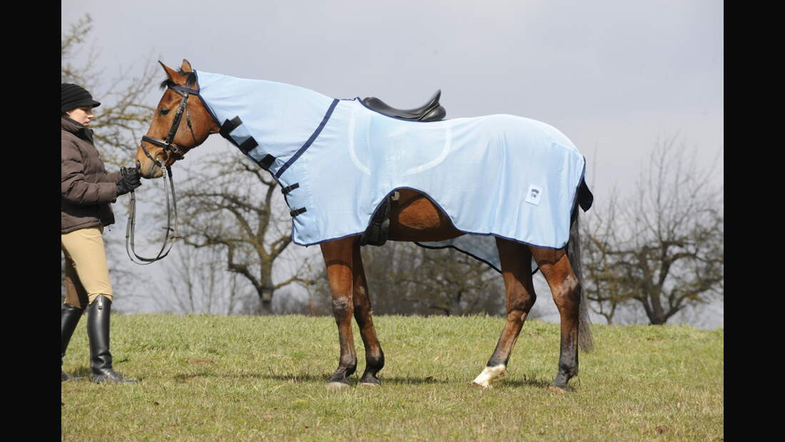 CAV Test Fliegendecken Kraemer 1 (jpg)