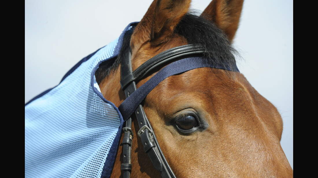 CAV Test Fliegendecken Kraemer 2 (jpg)