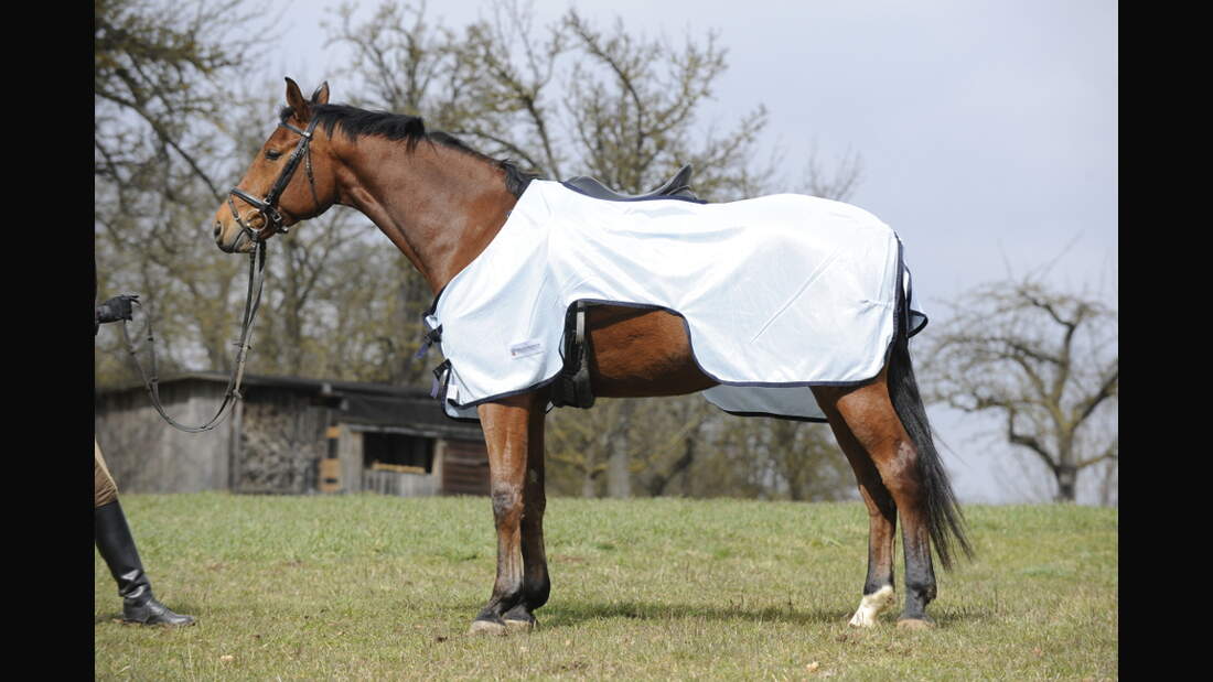 CAV Test Fliegendecken Waldhausen 1 (jpg)